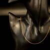 Pansar Halsband (model 3) - Bild 2